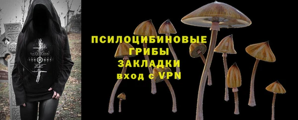 шишки Балабаново
