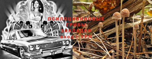шишки Балабаново