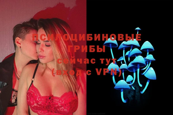 марки lsd Белокуриха