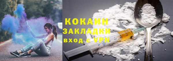 шишки Балабаново