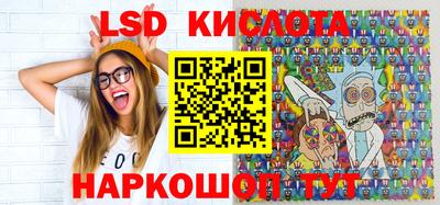 jwh Бийск