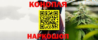 jwh Бийск