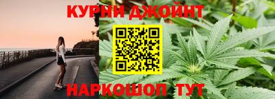 jwh Бийск