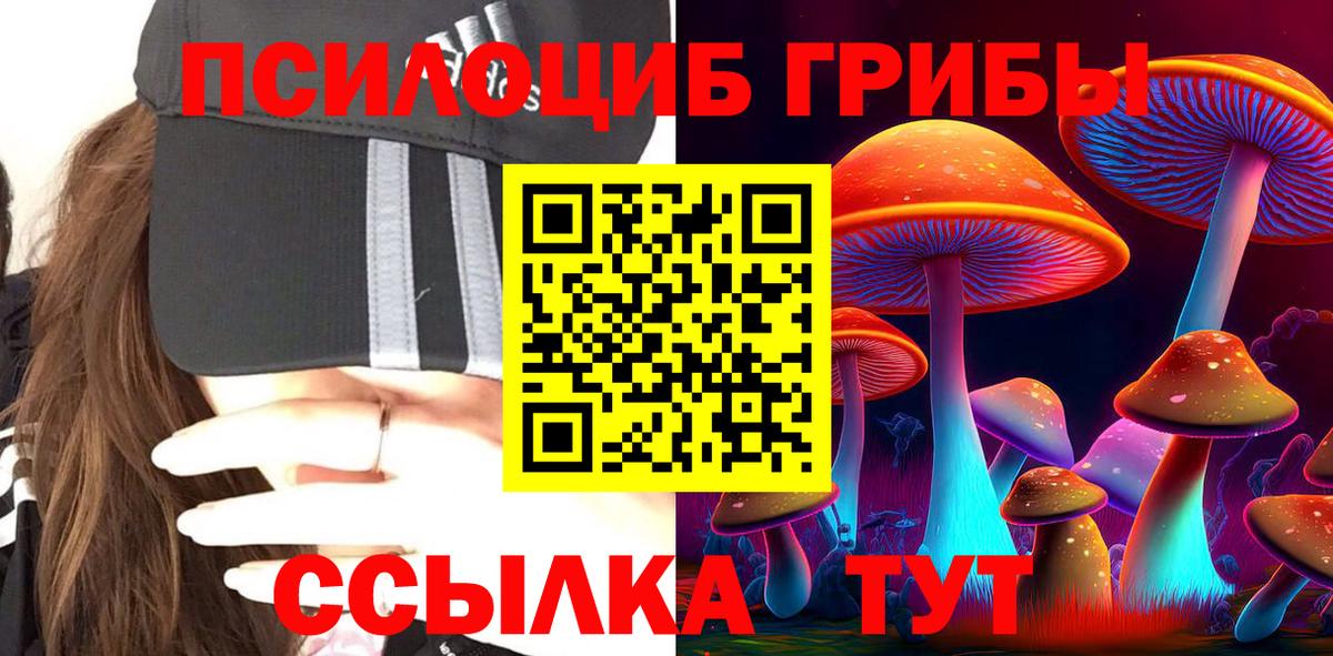 Воскресенск  Галлюциногенные грибы Psilocybe  Вход с VPN 